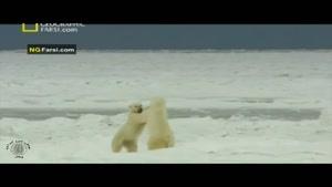 مستند فارسی - طبیعت روسیه - قطب شمال - قسمت 3