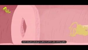چگونگی گسترش سرطان در بدن