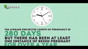 حقایقی عجیب در مورد بارداری