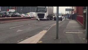 یک قو در منچستر ایجاد ترافیک کرد!