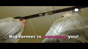 فیلم/ مزرعه هوشمند
