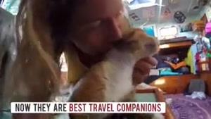گربه ای که دور دنیا رو سفر کرده