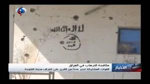 فیلم/تداوم عملیات ارتش عراق در حومه «فلوجه»