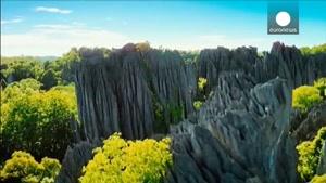 فیلم مستند ماداگاسکار، جزیره لمورها