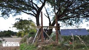 تایم لپس ساخت خانه روی درخت