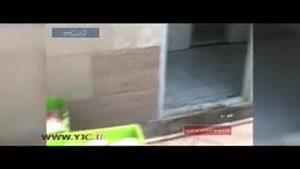 شستشوی مرغ در سرویس بهداشتی تایید شد
