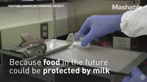 فیلم/ شیر محافظ مواد غذایی شد