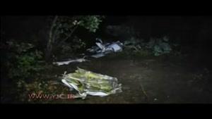 سقوط یک فروند هواپیمای سبک آلمانی در مقدونیه