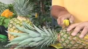 آموزش کاشت و پرورش آناناس
