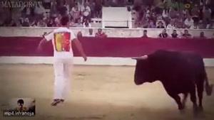 Very exciting bullfighting ، گاوبازی بسیار مهیج پرتقال