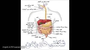 Human body farsi (بدن انسان)