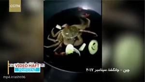 ویدئو پربازدید اما ناراحت‌کننده : خرچنگی که قبل از پخته شدن ، سبزیجات اطرافش را می‌خورد