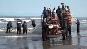 تلاش صیادان گیلانی برای صیدماهی در دریای خزر