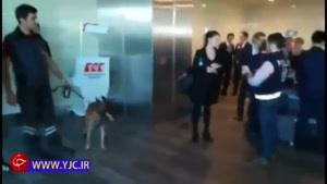 اقدام متقابل ترکیه پس از بازرسی اتباعش با سگ در فرودگاه وین