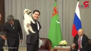 هدیه عجیب رییس جمهور ترکمنستان بمناسبت تولد ولادیمیر پوتین