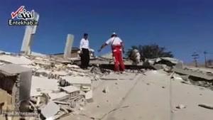 تلاش سگ‌های هلال‌احمر برای نجات زلزله زدگان کرمانشاه