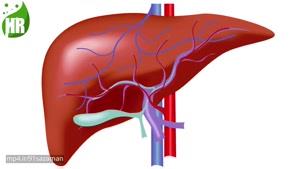 این علائم هشدار دهنده نشان می دهد که کبد شما پر از سموم است
