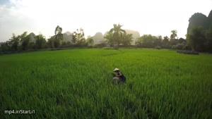 فیلم برداری هوایی از ویتنام