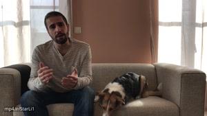 روزی چند بار باید به سگ غذا داد