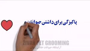 آرایشگاه حیوانات خانگی ژیوان