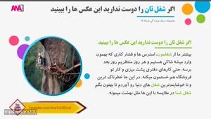 اگر از کار تان خسته شده اید این عکس ها را ببنید