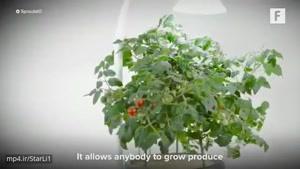 باغچه‌ی مینیاتوری و هوشمند جذابی که میتونه پرورش گیاه در خونه رو ممکن کنه