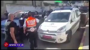 بازداشت یک الاغ توسط نیروهای امنیتی رژیم صهیونیستی! 