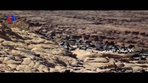 نخستین فیلم از شلیک موشک بالستیک ارتش یمن به کاخ یمامه ریاض