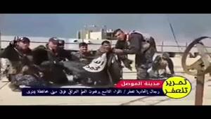 فیلم/ پرچم عراق بر فراز مجتمع دولتی موصل به اهتزاز درآمد