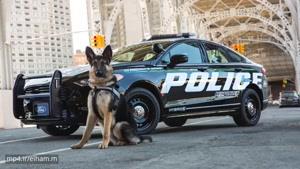 فورد هیبرید 2018 اتومبیل جدید پلیس آمریکا