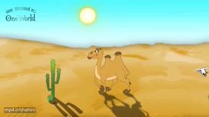 Camel انیمیشن شاد و آموزنده درباره شتر