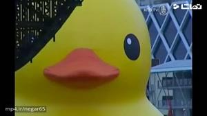 رسیدن اردک پلاستیکی غول پیکر به استرالیا