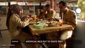 ساخت برنج مصنوعی در اندونزی