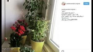🍷🍷آزاده نامداری از ایران رفت 👏 پست وداع و خداحافظی 📣