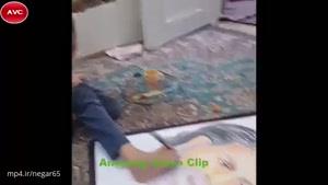 فاطمه امامی دختر هنرمندی که با پاهاش نقاشی میکشه