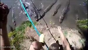 بندبازی بر فراز رودخانه ای پر از تمساح های گرسنه
