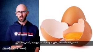 تفاوت تخم‌مرغ سفید و قهوه‌ای