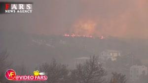  آتش‌سوزی گسترده در جنگل‌های یونان