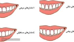 شخصیت شناسی از روی شکل دندان