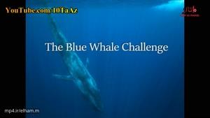 چالش نهنگ آبی و خودکشی