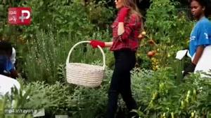 باغبانی همسر خبرساز ترامپ در کاخ سفید