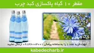 طب سنتی و درمان کبد چرب