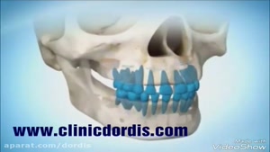 مراحل رشد دندان