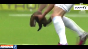 لحظات خنده دار از حضور حیوانات در زمین فوتبال