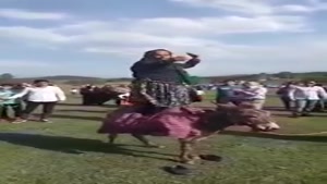 hadisanjarani