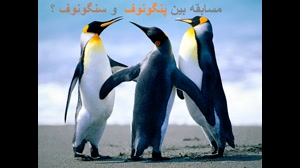 ایوب1392