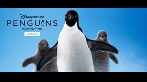 مستند پنگوئن ها 2019