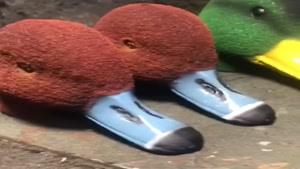 دستگاه مخمل پاش مخزن دار 02156573155