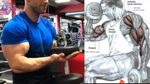 آموزش 18 تمرین برای حجیم کردن عضلات بازو 