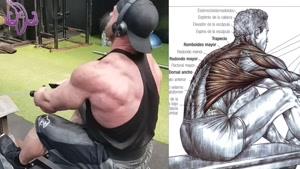 آموزش بیش از 10 تمرین برای بزرگ کردن کمر 